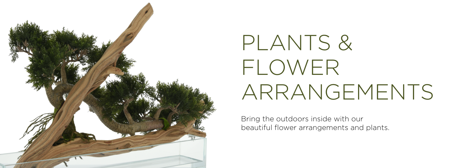 Plants & Flower Arrangements